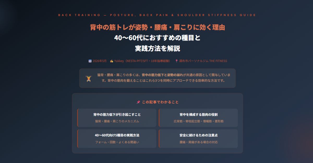 背中の筋トレが姿勢・腰痛・肩こりに効く理由