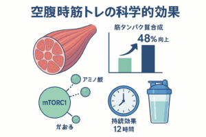 空腹時筋トレは筋肉を分解する？それとも成長させる？科学的根拠で真実を解明