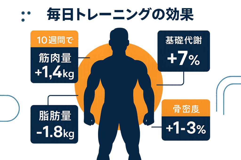 毎日トレーニングをするとどうなる?科学的根拠で解明する驚くべき身体変化