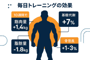 毎日トレーニングをするとどうなる？科学的根拠で解明する驚くべき身体変化