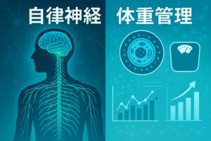 自律神経と体重管理