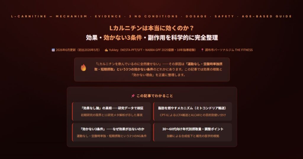 Lカルニチンは本当に効くのか