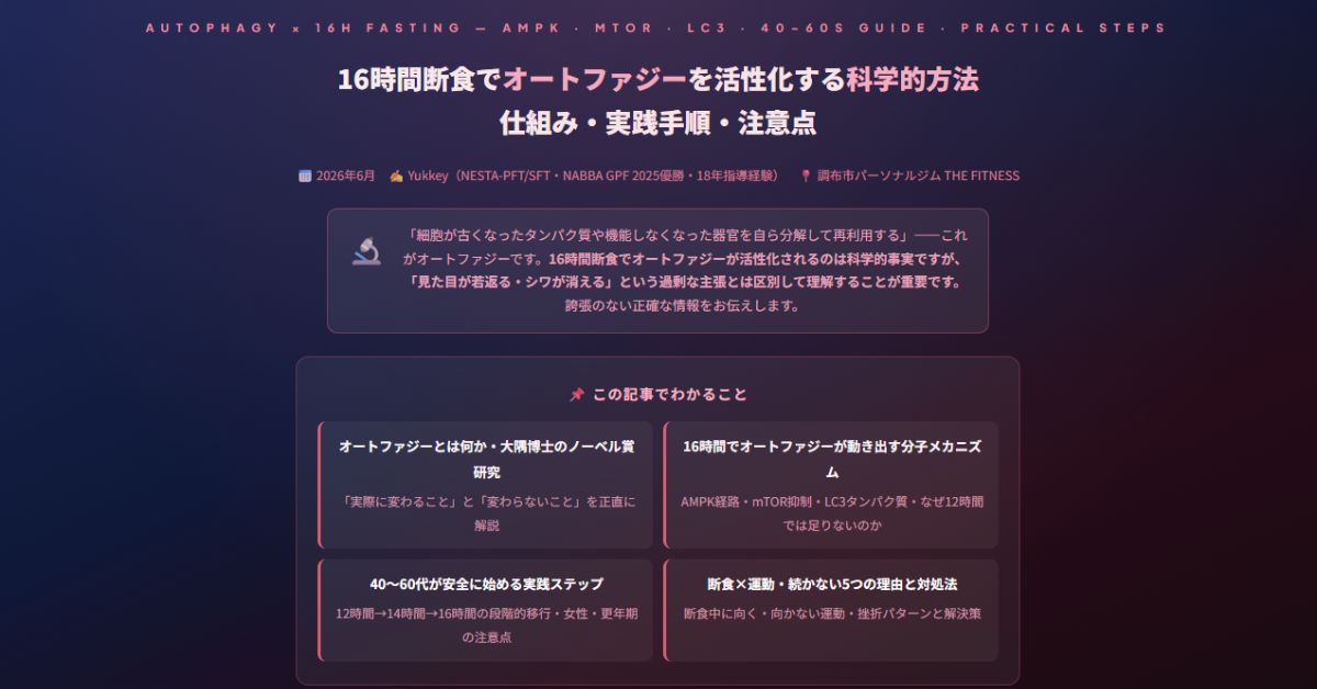 16時間断食でオートファジー