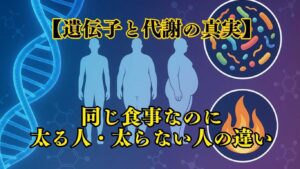同じ食事なのに太る人・太らない人の科学的理由