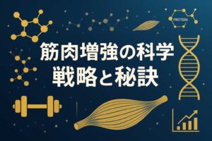 筋肉増強の戦略と秘訣