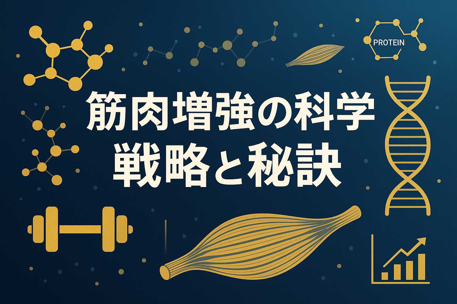 筋肉増強の戦略と秘訣
