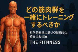 筋肉群の効果的なトレーニング