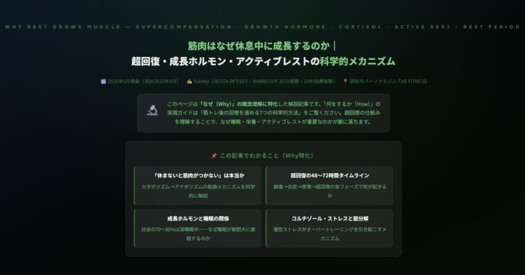筋肉はなぜ休息中に成長するのか