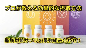 脂肪燃焼サプリの最強組み合わせ