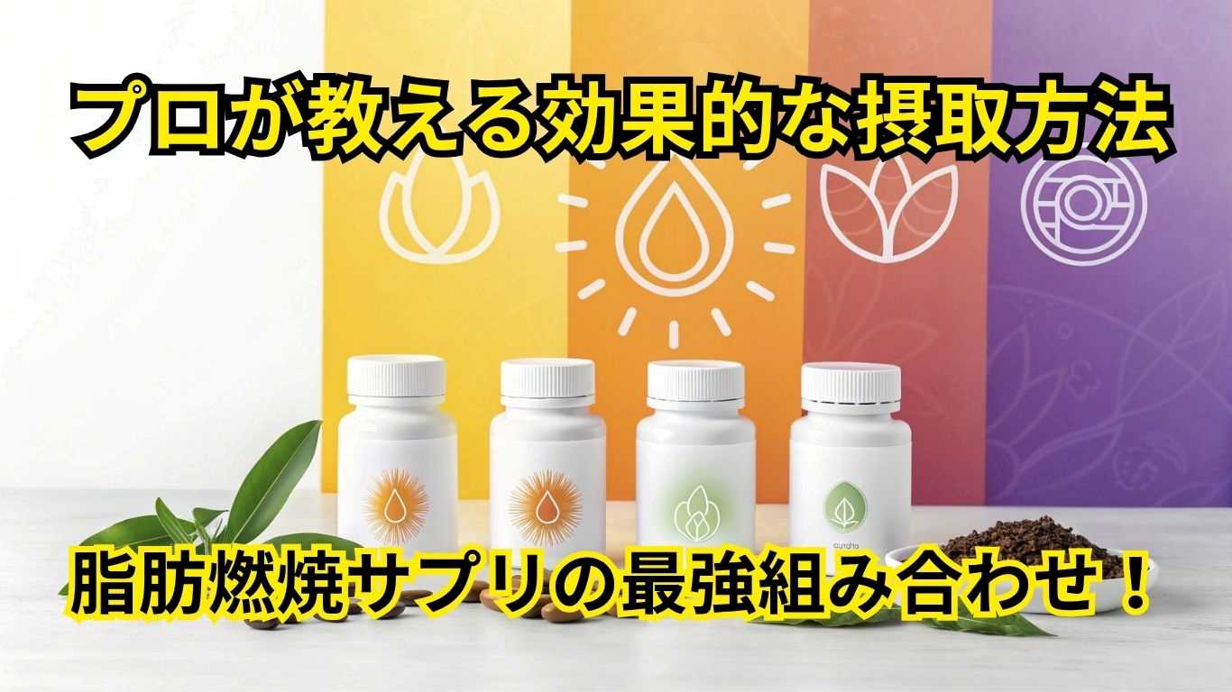 脂肪燃焼サプリの最強組み合わせ