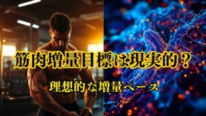 筋肉増量の現実的な目標設定
