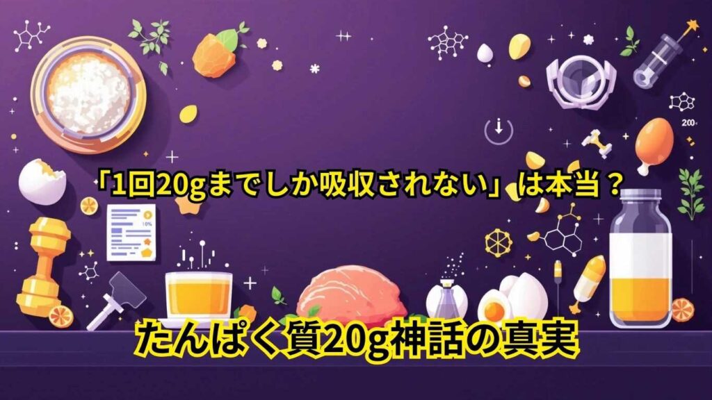 たんぱく質20g神話の真実