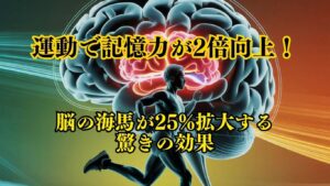 運動で記憶力が2倍向上