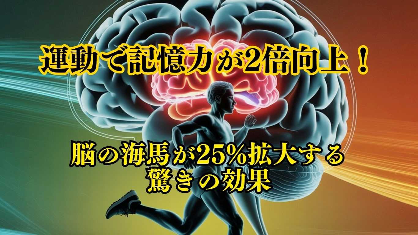 【科学的実証】運動で記憶力が2倍向上!脳の海馬が25%拡大する驚きの効果 運動で記憶力が2倍向上