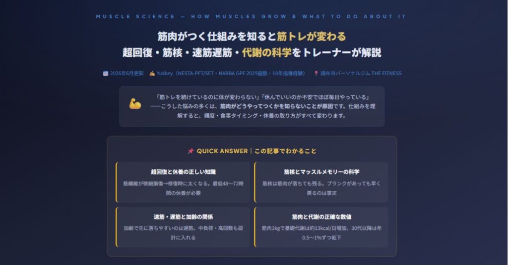 筋肉がつく仕組み