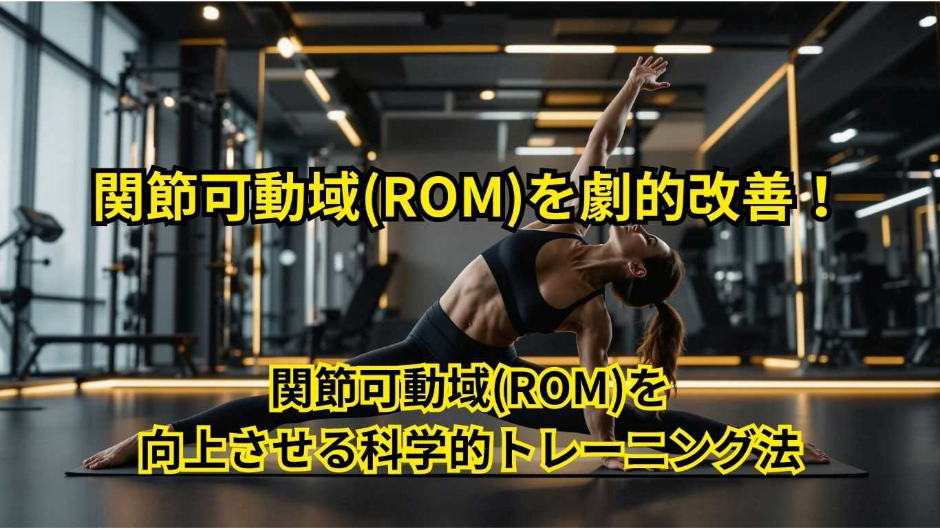 関節可動域(ROM)を向上させる科学的トレーニング法