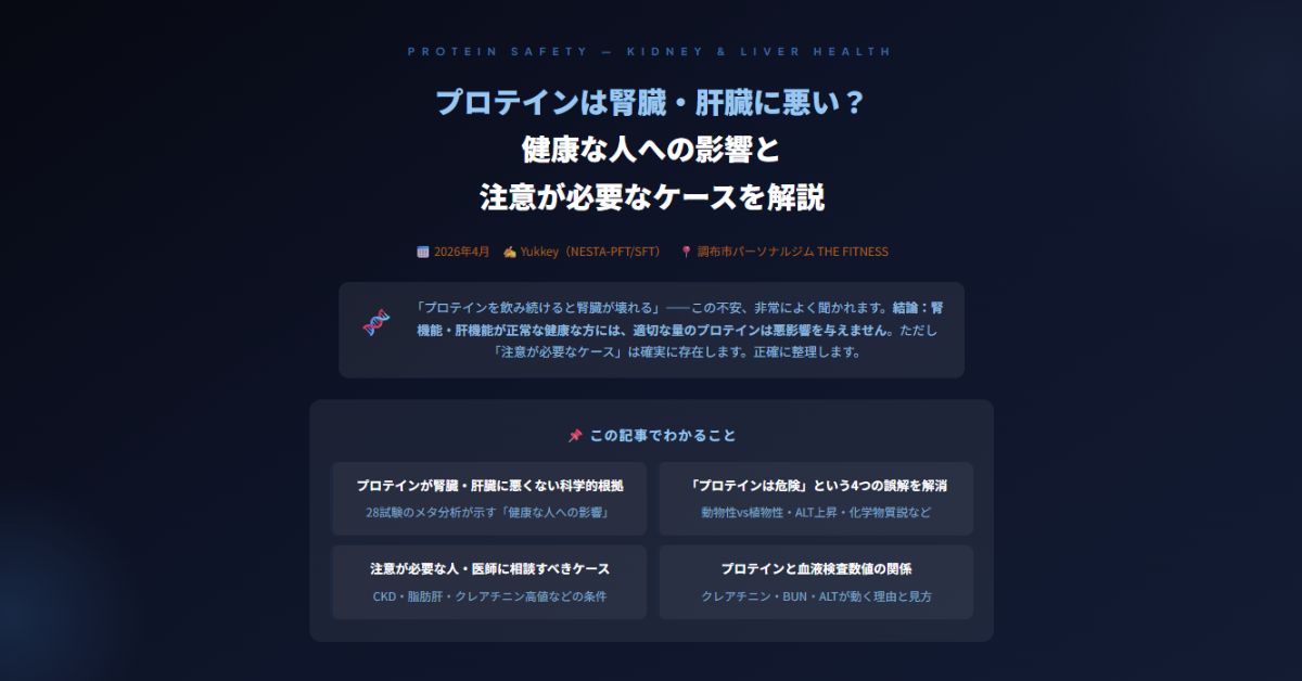 プロテインは腎臓・肝臓に悪い？