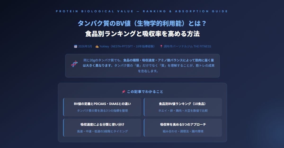 タンパク質のBV値
