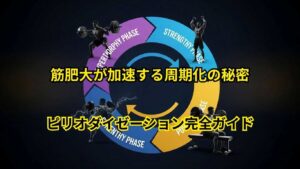 初心者でも分かるピリオダイゼーション