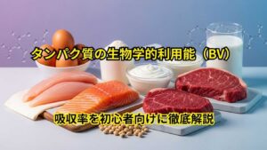 タンパク質の生物学的利用能(BV)
