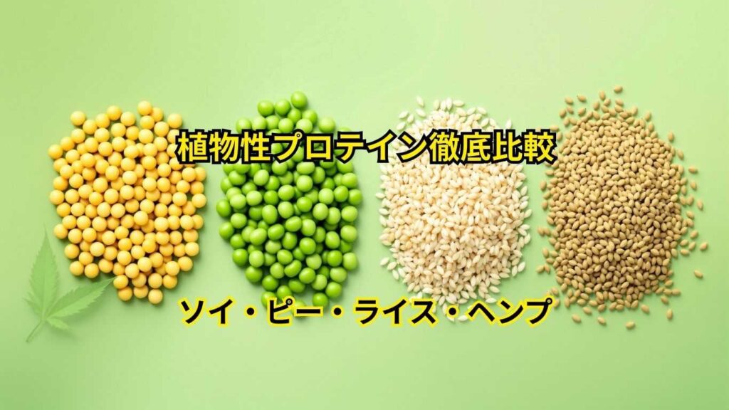 植物性プロテイン徹底比較