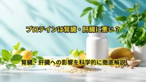 プロテインは腎臓・肝臓に悪い?