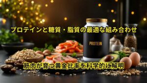 筋肉が育つ黄金比率