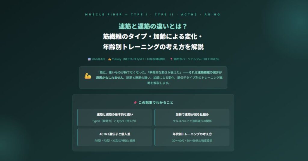 速筋と遅筋の違い
