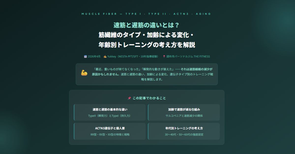 速筋と遅筋の違い