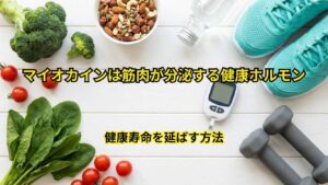 マイオカインは筋肉が分泌する健康ホルモン