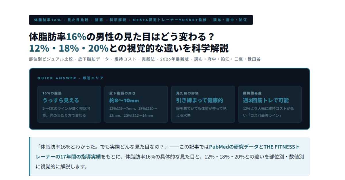 体脂肪率16%の男性の見た目