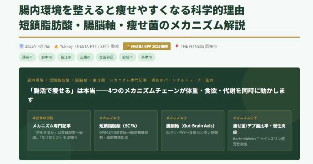 腸内環境を整えると痩せやすくなる科学的理由