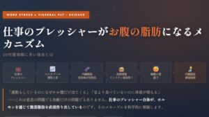 仕事のプレッシャーがお腹の脂肪になる