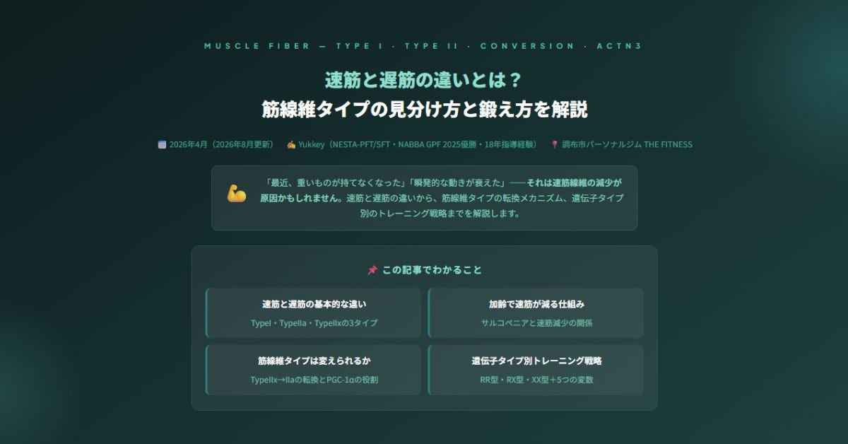 速筋と遅筋の違いとは