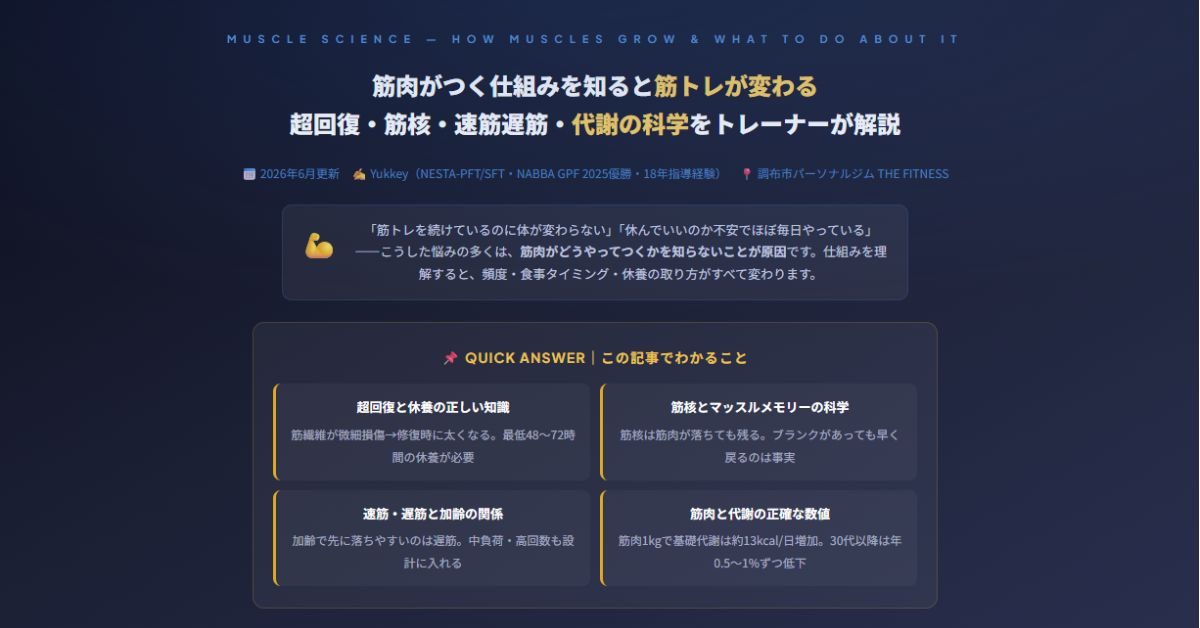 筋肉がつく仕組み