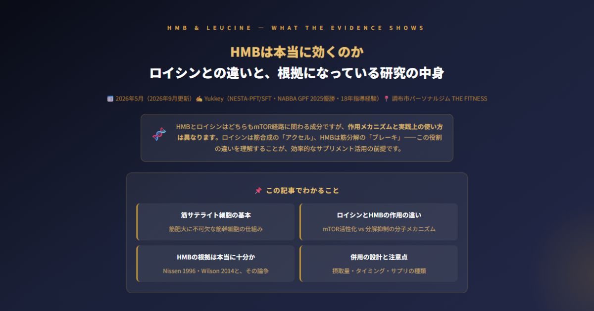 HMBは本当に効くのか
