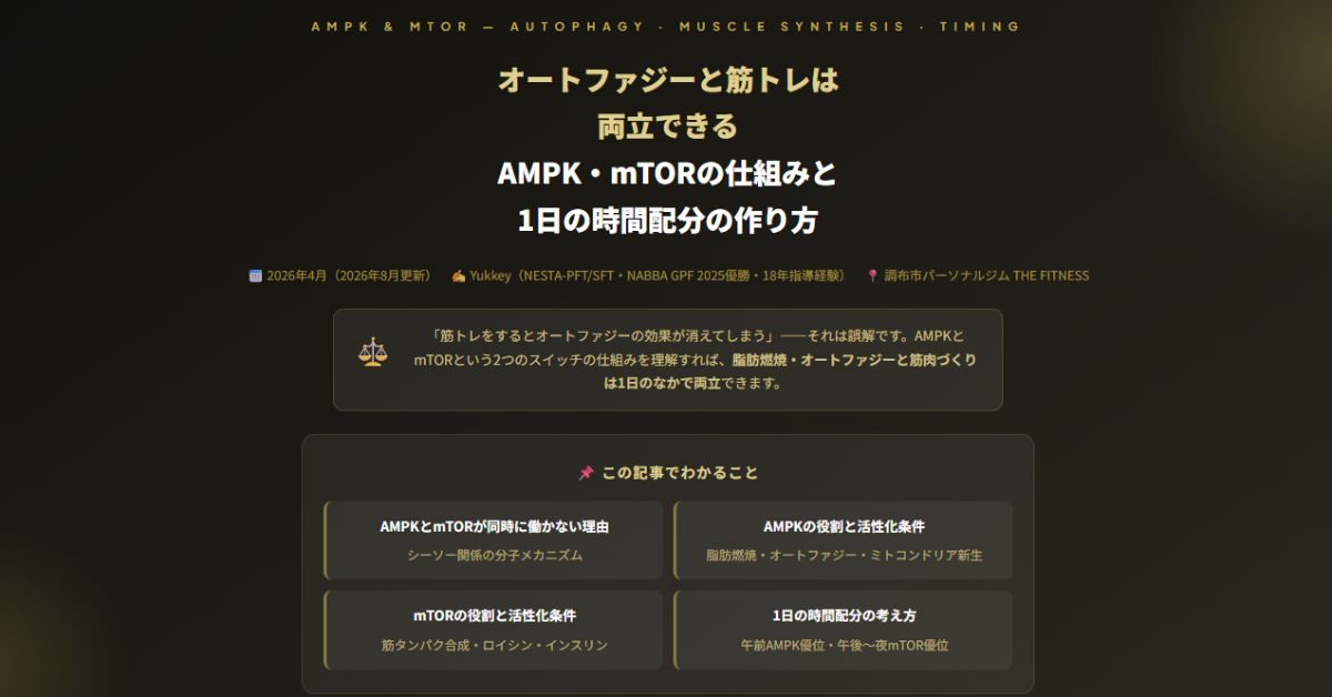 オートファジーと筋トレは両立できる