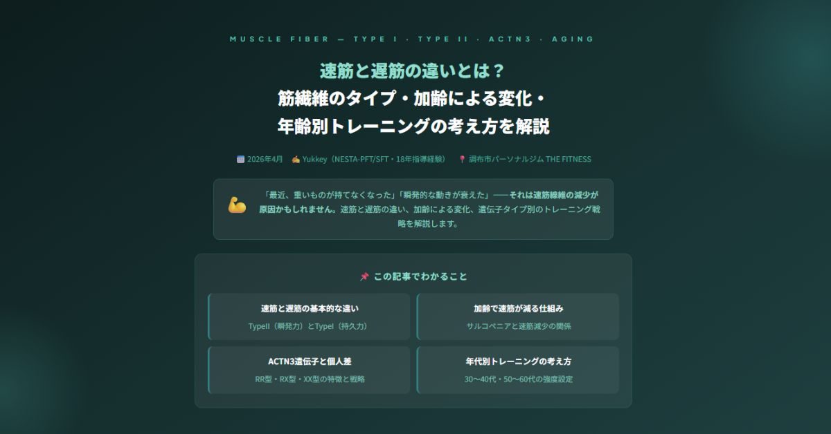 速筋と遅筋の違い