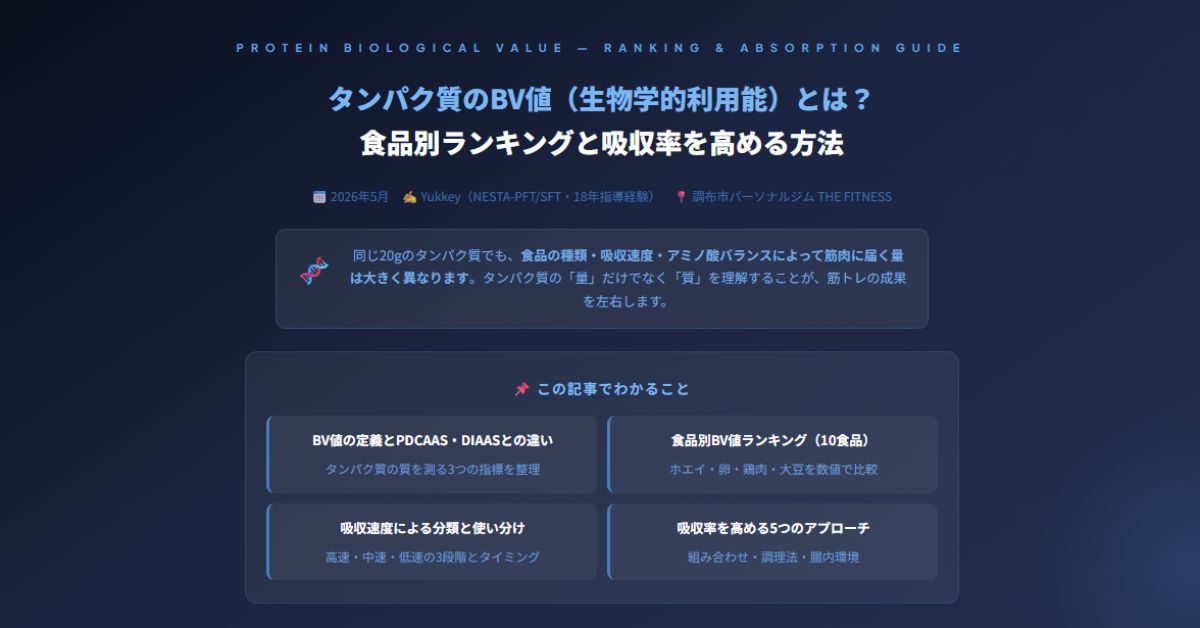 タンパク質のBV値