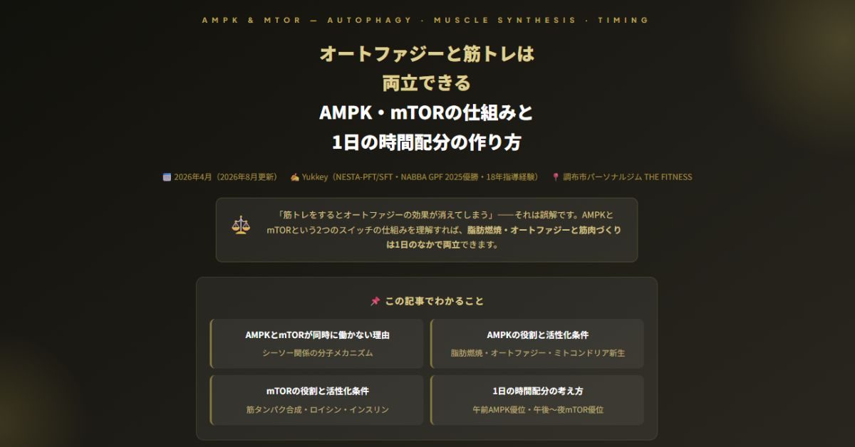 オートファジーと筋トレは両立できる