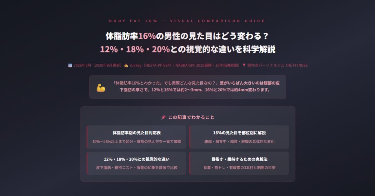 体脂肪率16%の男性の見た目はどう変わる